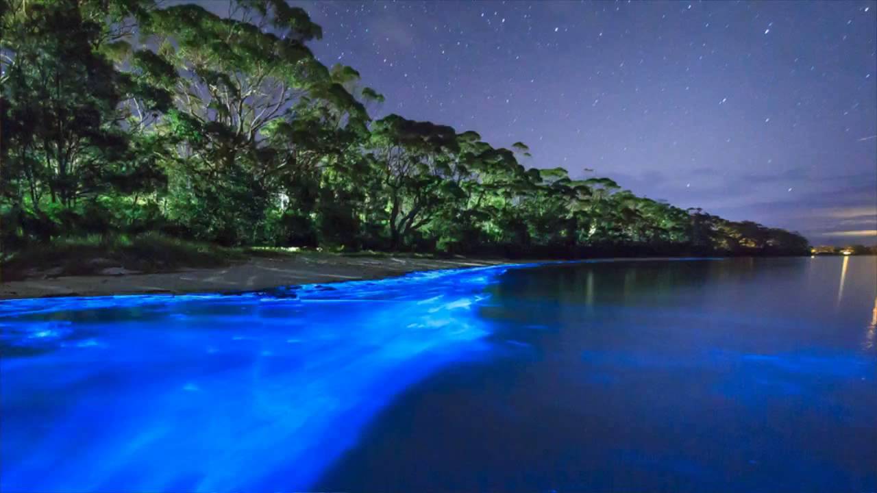 Светящийся Мальдивский пляж