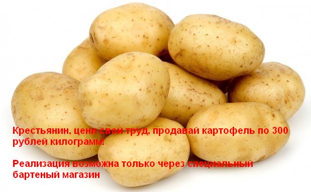 Как продать картофель по 300 рублей килограмм